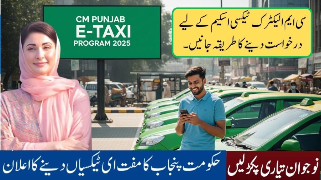 Exhaustive Manual for the Punjab E-Taxi Initiative 2025