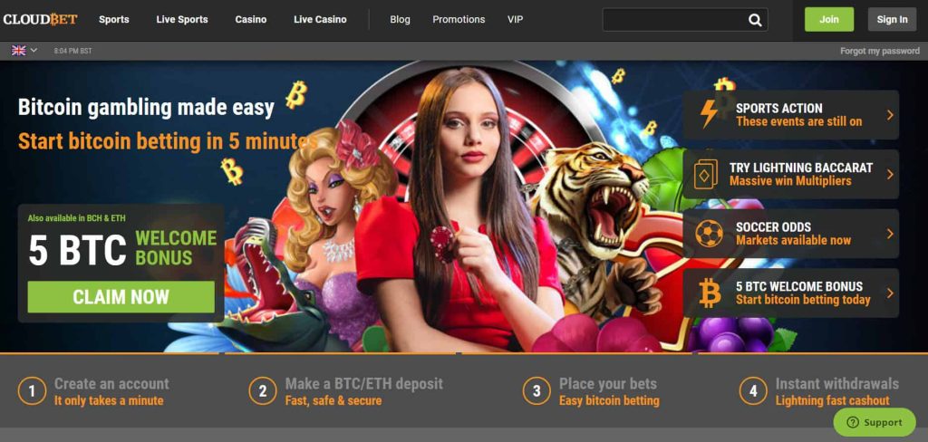 Investigating the Benefits of a Bitcoin Casino Website