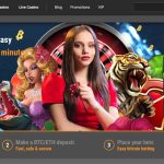 Investigating the Benefits of a Bitcoin Casino Website