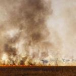 Notable 70% Decrease in Crop-Residue Burns in Punjab This Season