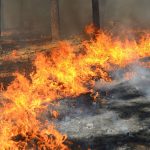 An In-Depth Manual to Katmoviehd.com