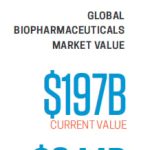 Choosing a Reliable Supplier for Temperature-Regulated Shipping Solutions