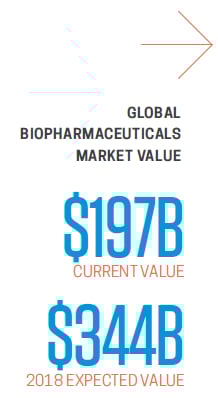 Choosing a Reliable Supplier for Temperature-Regulated Shipping Solutions
