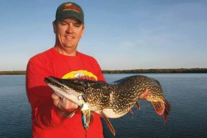 Thorough Manual for Accessing Streakk.io