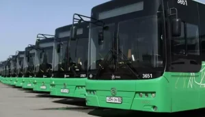 Punjab's Electric Bus Extension to Reach 91 Tehsils