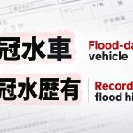 Recognizing Water Damage on Auction Sheets for Japanese Imports