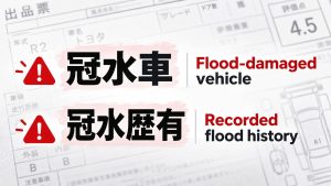Recognizing Water Damage on Auction Sheets for Japanese Imports